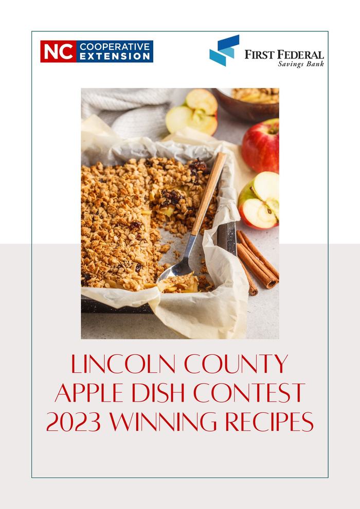 Apple dish recipe book cover