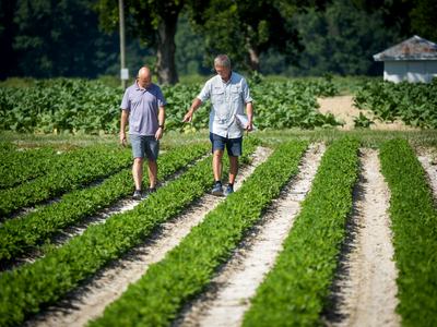 Two men in a field.