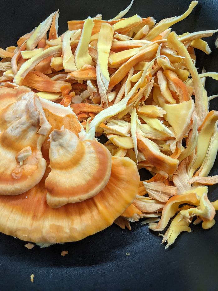 Shredded chicken of the woods