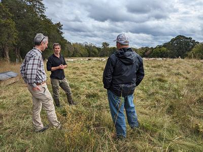 Three people in a grassy field talking, sheep grazing in the background
