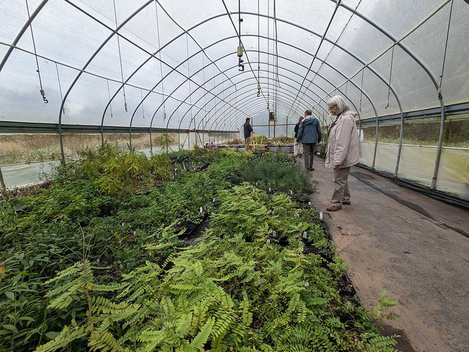 Heading into the high tunnel at Dutch Buffalo Farm