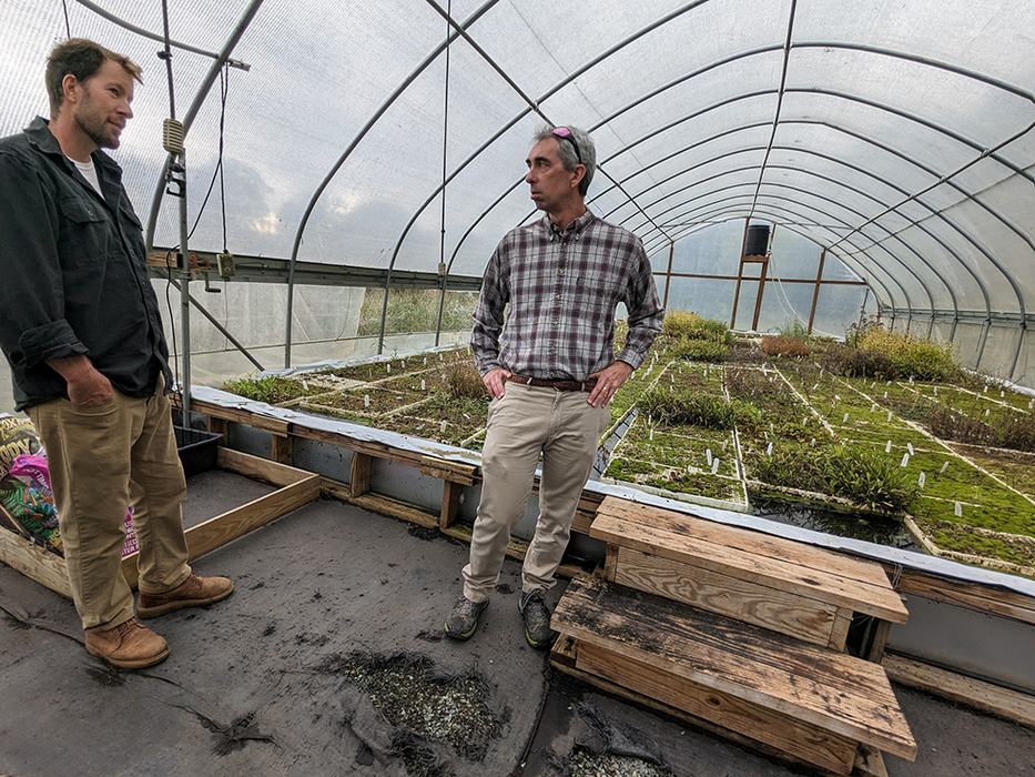 Because Farrell is able to control fertility and hold plants longer or replant based on actual market demand using the tobacco float system, he is able to avoid losses and limit the amount of resources that go into unsold nursery stock.