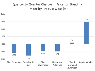 Graph indicating price change for 5 product classes of timber in North Carolina for third quarter 2023