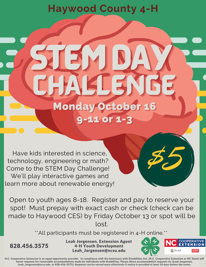 Stem Day Challenge Flyer
