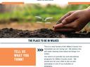 Wilkes County 4-H newsletter header with pumpkin icons and hands planting a seedling