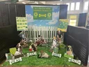 Cut out posters of dogs dressed as 4-H clubs.