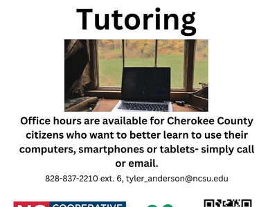 Digital Skills tutoring flyer