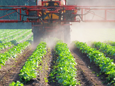 Tractor-mounted sprayer spraying rows of young crops, producing a mist