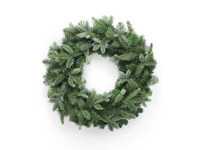 Plain evergreen wreath