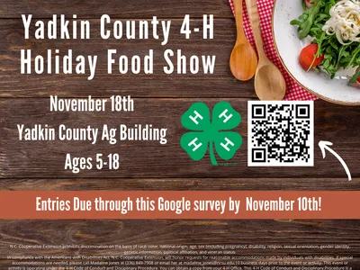 Yadkin County 4-H Holiday Food Show