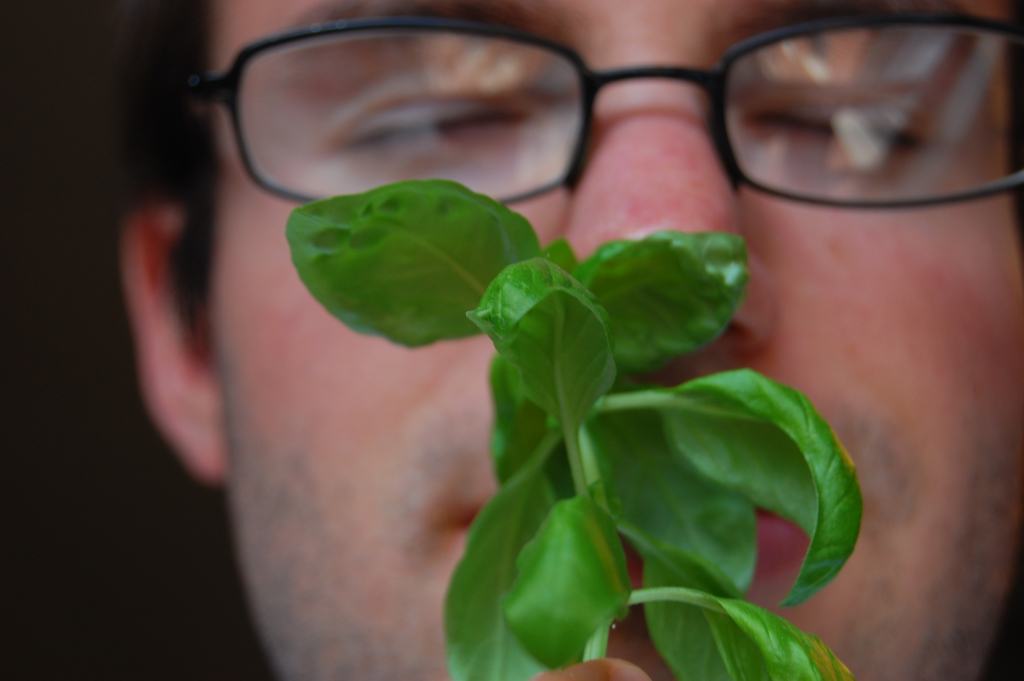 A man with closed eyes holding basil leaves to his nose.