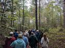 Group of people standing on a forest trail listening to a guide