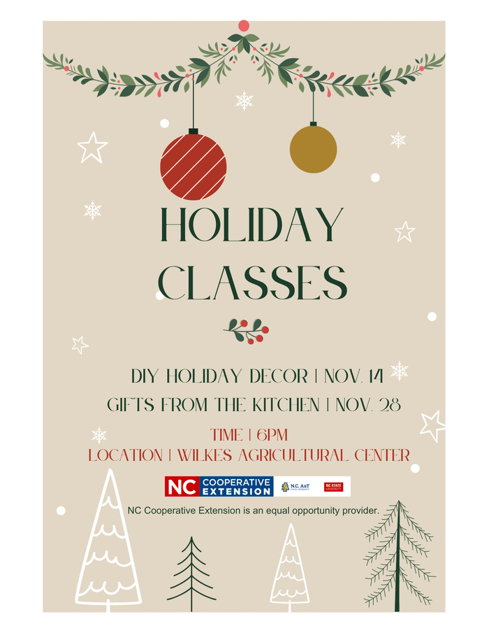fcs holidy classes flyer