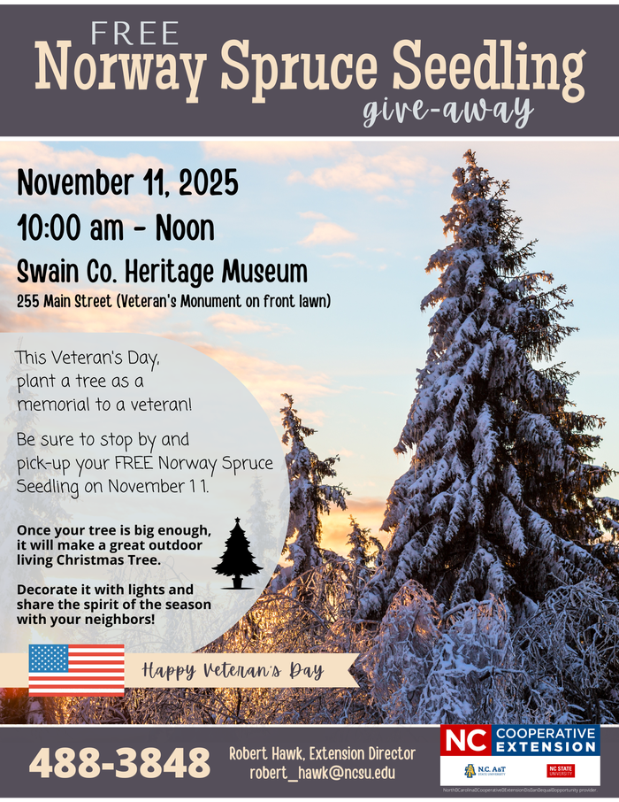 2025 SWAIN Veteran's Day Tree Give-Away