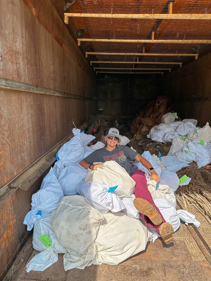 person sitting on bags of sunflower