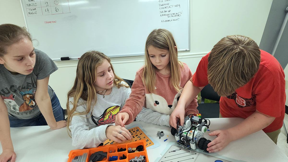 NC State 4-H youth development special interest clubs