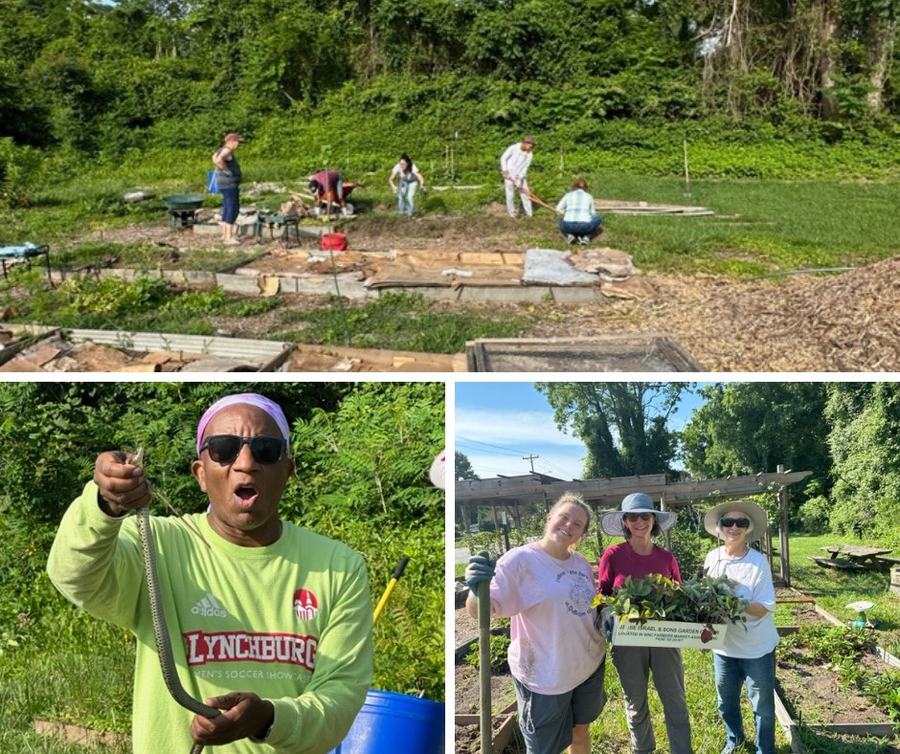 Brooklyn Community Garden