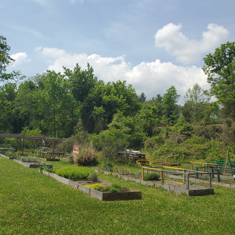 Brooklyn community garden