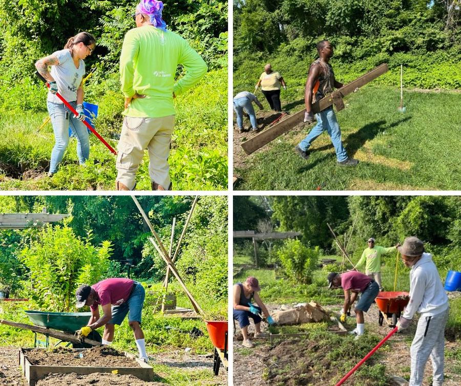 Brooklyn Community Garden