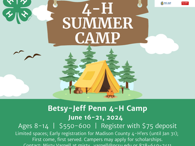 4-H Summer Camp flyer with tent