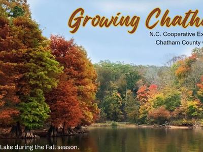 The Growing Chatham November newsletter featuring Jordan Lake in the fall