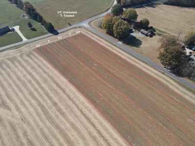 Aerial view of field with red-dashed trial strips labeled T (Treated) and UT (Untreated)