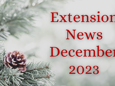 December Newsletter 2023