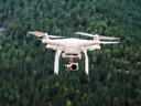 Drone flying abovea forest image