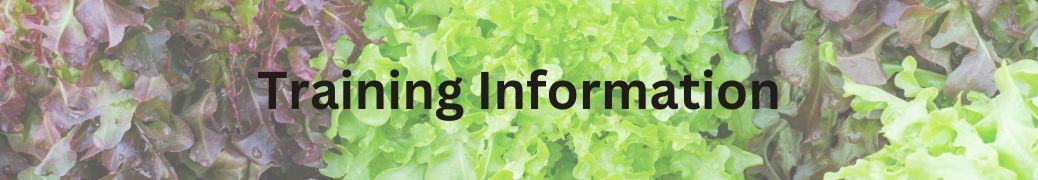 Training Information 