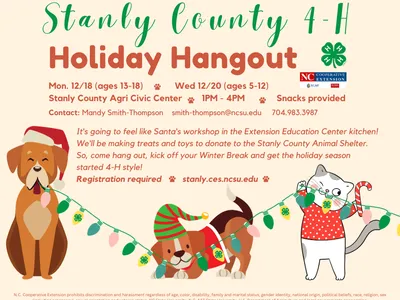 Holiday Hangount