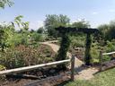 Mills River Pollinator Garden 2025