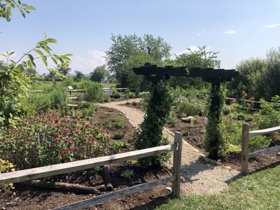 Mills River Pollinator Garden 2025