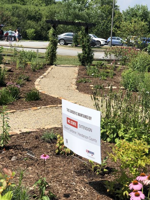 Mills River Pollinator Garden 2025