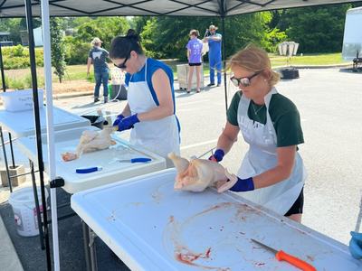 Two people in aprons preparing raw chickens on folding tables under a canopy