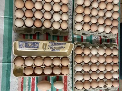 Multiple cartons of brown eggs on striped tablecloth, open dozen carton and two loose eggs