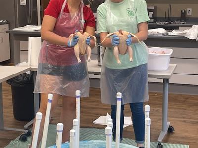 Two women in aprons and gloves holding raw chickens over kiddie pool with PVC structure