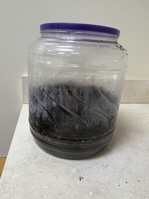 Clear plastic container with dirt