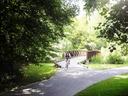 Biker comes over a bridge on a greenway that is joining with another part of the greenway.