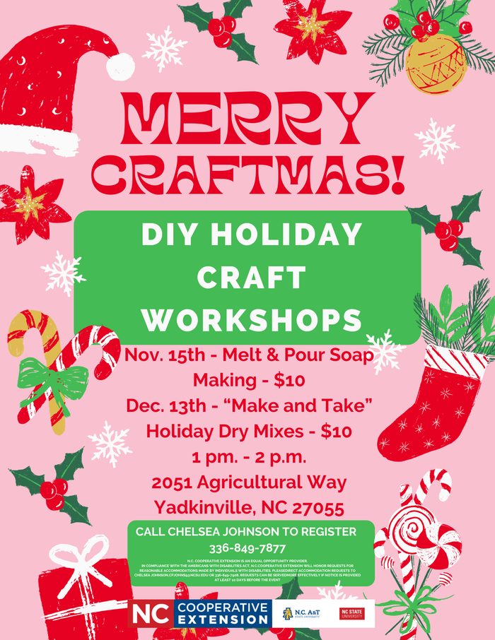 DIY Holiday Craft Workshops