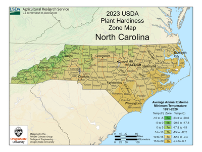 2023 USDA Plant Hardiness Zone Map of North Carolina showing average extreme minimum temps, zones 6a–8b