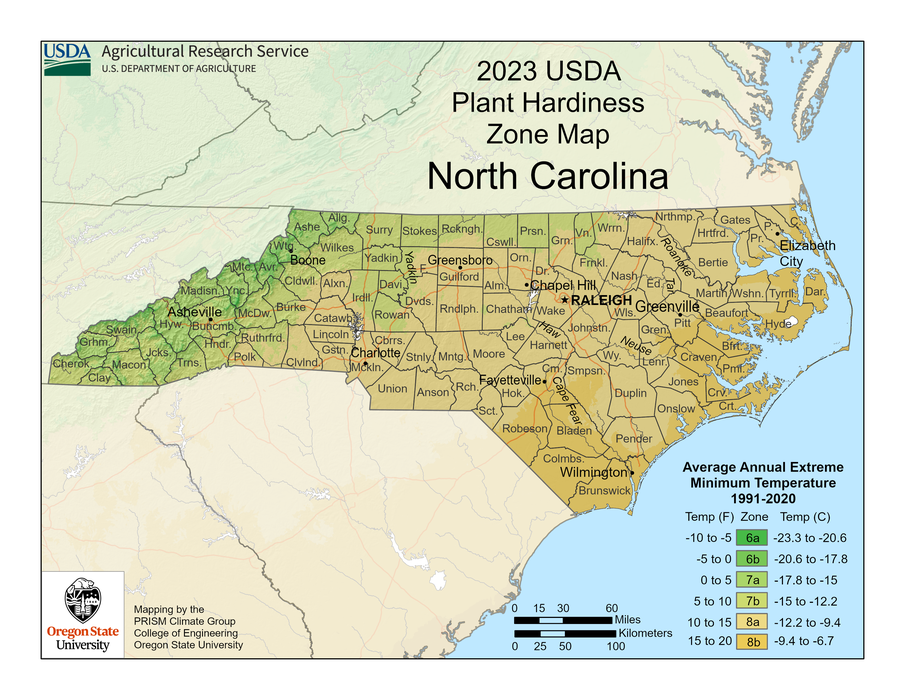 2023 USDA Plant Hardiness Zone Map of North Carolina