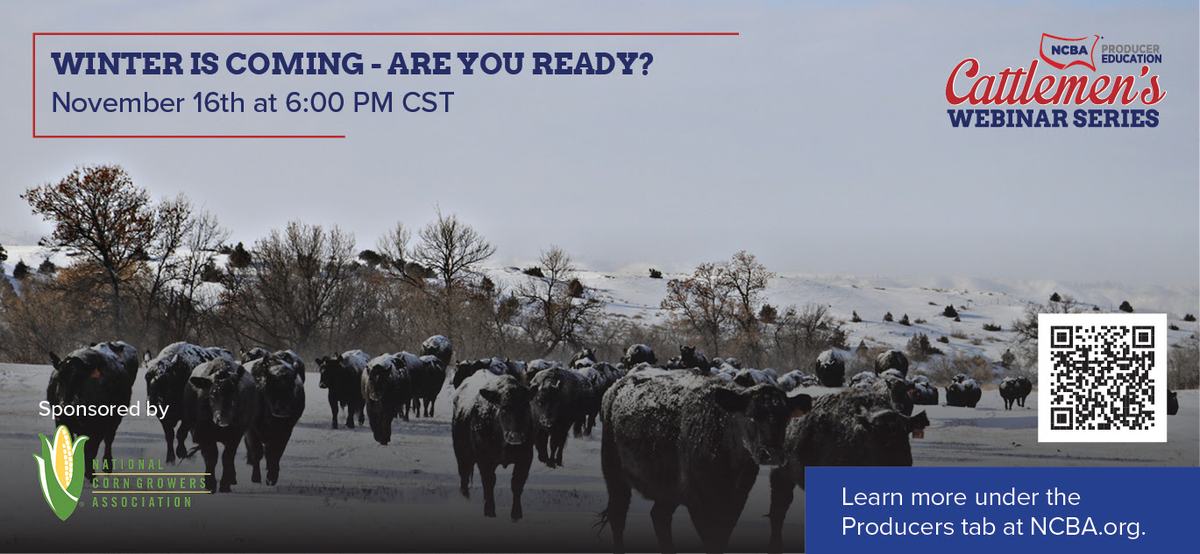 Cattlemen's Webinar