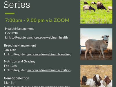 Winter Webinar Series