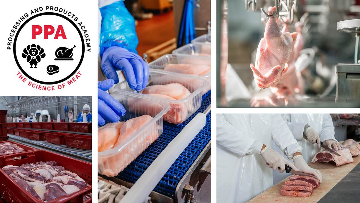 processing and products academy logo with images of poultry and meat
