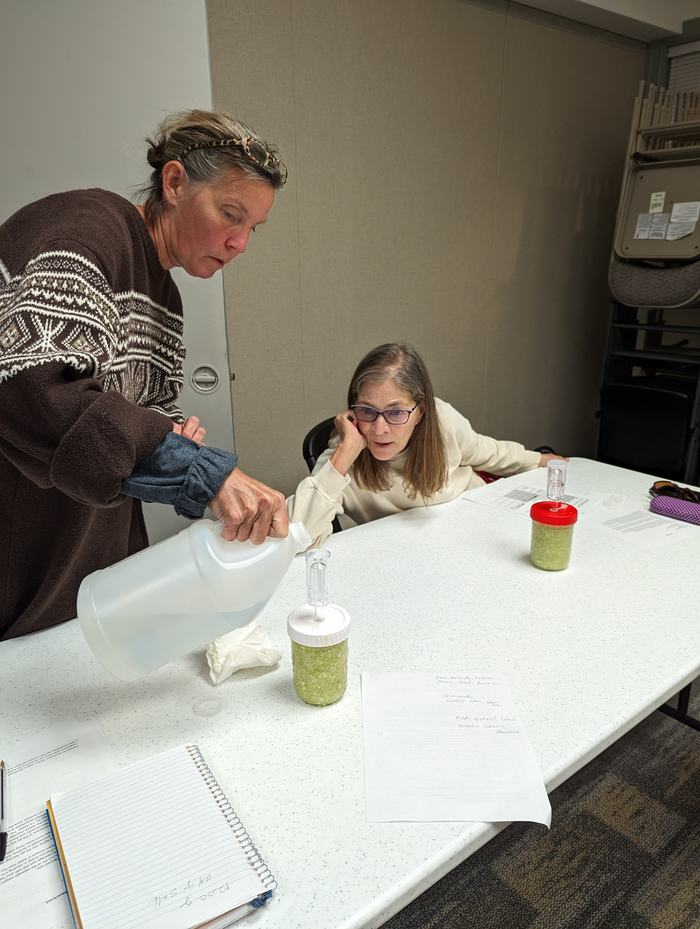 Person pours liquid from plastic jug into jar with airlock and green mash; another watches
