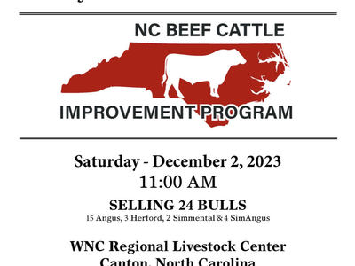 44th Annual North Carolina BCIP Waynesville Bull Test Sale — Dec 2, 2023 11:00 AM, Canton NC