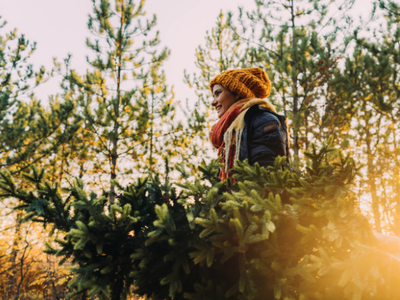 A girl in hat and scarf holding a cut Christmas tree