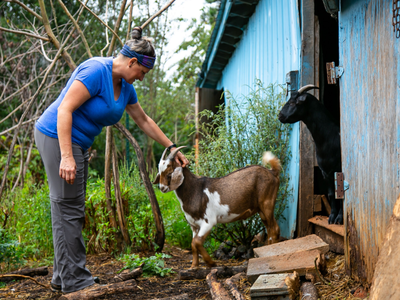 Woman petting brown-and-white goat outside blue shed; black goat standing in doorway