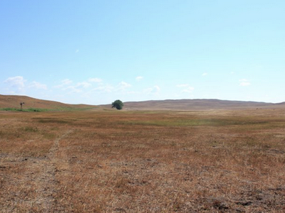 Dry grassy plain with a single tree near center, rolling hills and clear blue sky.