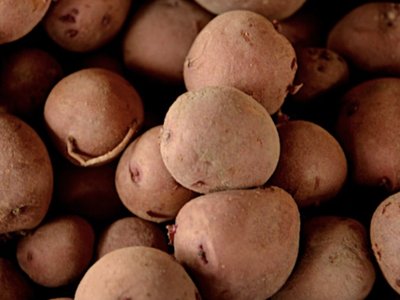 Photo of Irish Potatoes